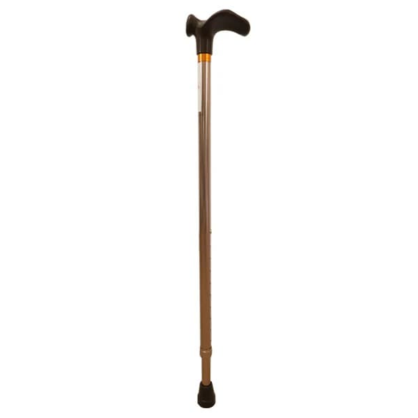walking-stick