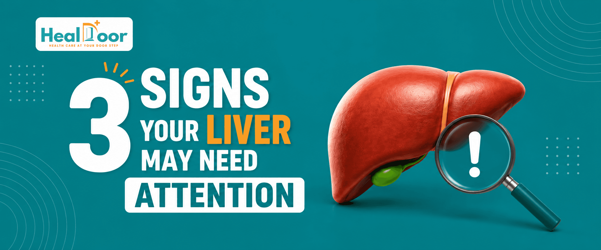 Fatty Liver Symptoms, Diagnosis and Treatment: What the Medical Terms Mean